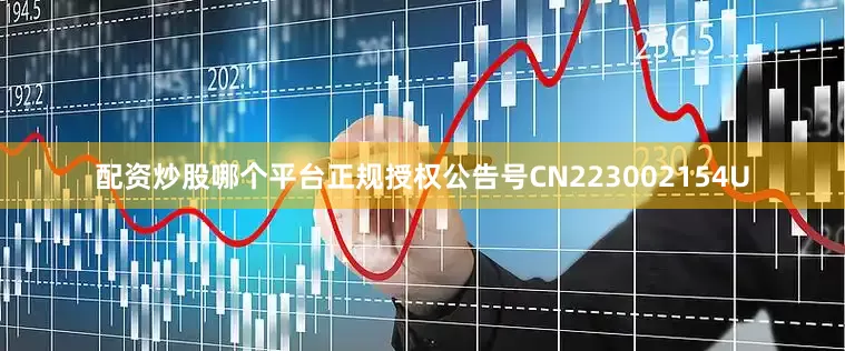 配资炒股哪个平台正规授权公告号CN223002154U