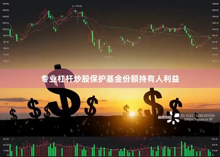 专业杠杆炒股保护基金份额持有人利益