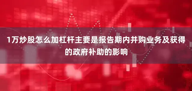 1万炒股怎么加杠杆主要是报告期内并购业务及获得的政府补助的影响