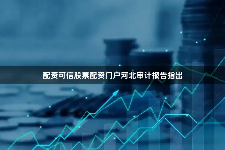 配资可信股票配资门户　　河北审计报告指出