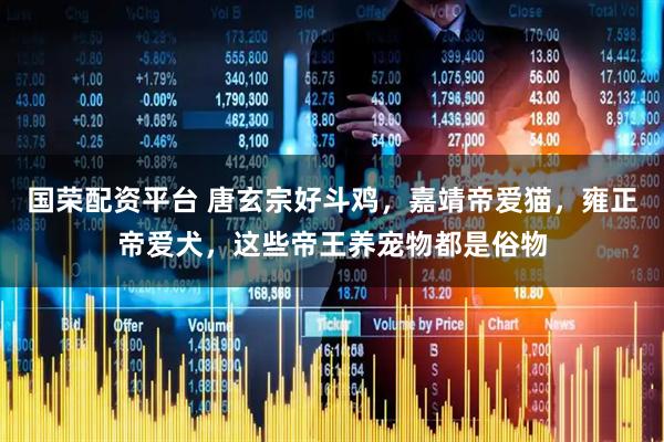 国荣配资平台 唐玄宗好斗鸡，嘉靖帝爱猫，雍正帝爱犬，这些帝王养宠物都是俗物