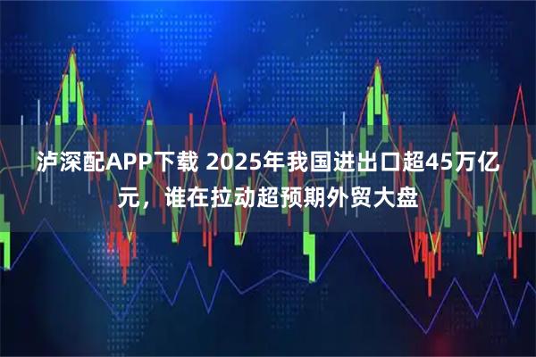 泸深配APP下载 2025年我国进出口超45万亿元，谁在拉动超预期外贸大盘